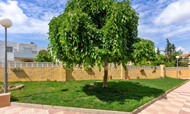 Videresalg - Leilighet - Torrevieja - El Chaparral