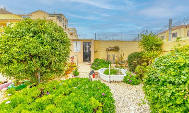 Videresalg - Leilighet - Torrevieja - El Chaparral