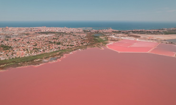 Nieuw - Appartement - Torrevieja - Torrevieja - Centre