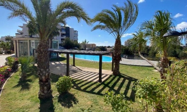 Re-Sale - Apartment - Orihuela Costa - Villamartin