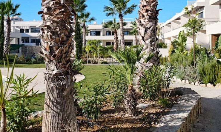 Reventa - Apartamento - Torrevieja - La Veleta