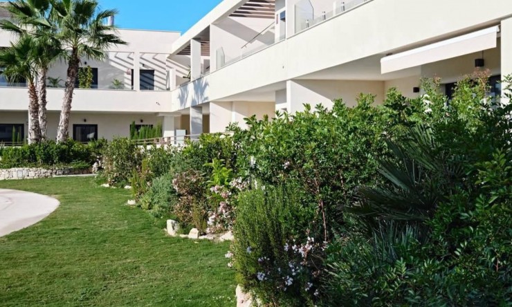Reventa - Apartamento - Torrevieja - La Veleta