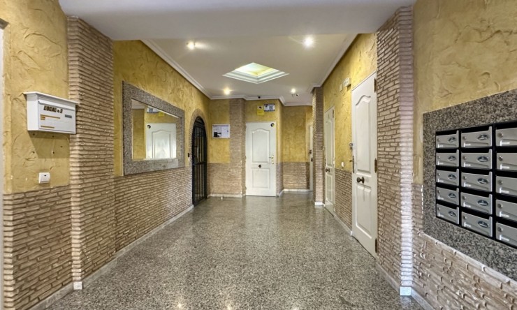 Reventa - Apartamento - Torrevieja - Torrevieja - Centro