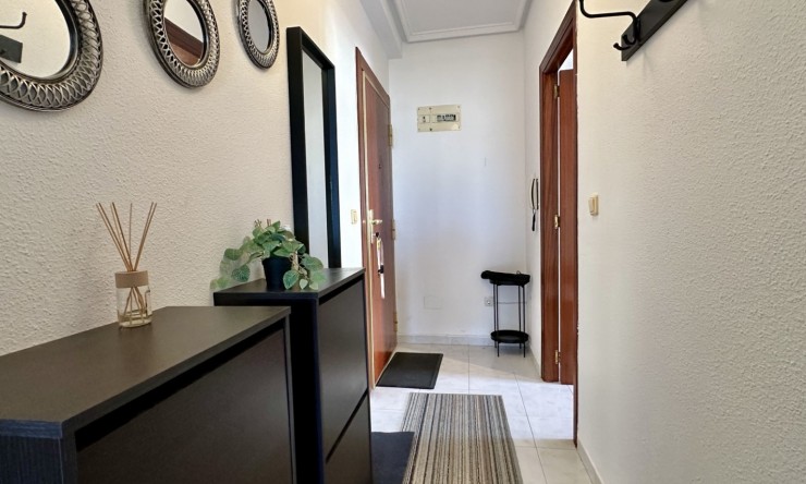 Reventa - Apartamento - Torrevieja - Torrevieja - Centro