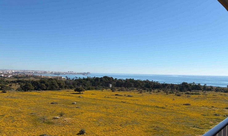 La Revente - Appartement - Orihuela Costa - Punta Prima