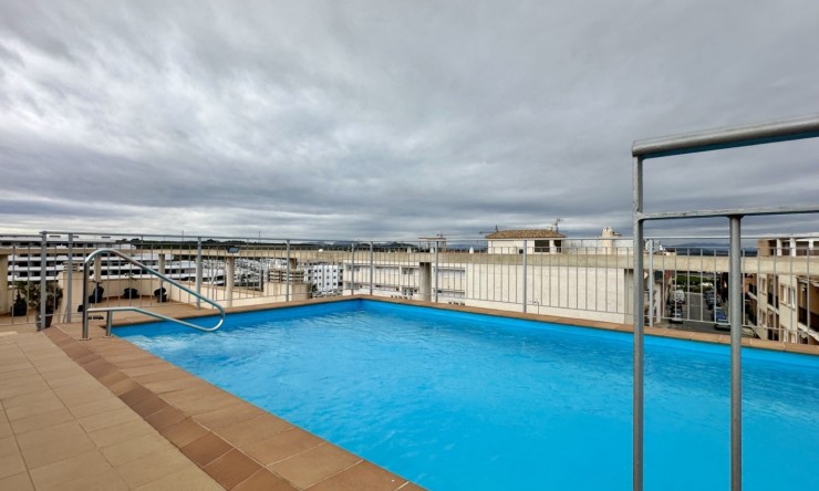 La Revente - Appartement - San Miguel de Salinas - San Miguel - Ville