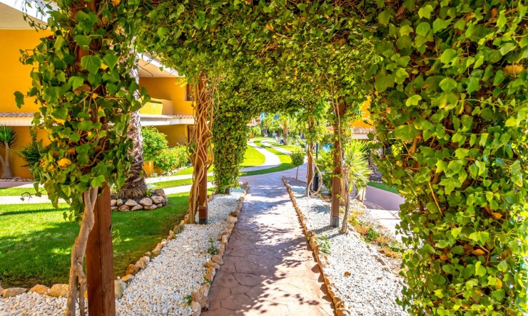 Videresalg - Leilighet - Orihuela Costa - Punta Prima