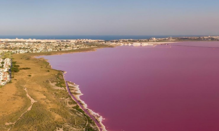 La Revente - Villa - Torrevieja - Aguas Nuevas