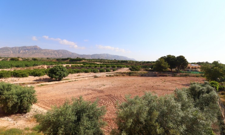 Re-Sale - Country Property - Albatera - Albatera - Country