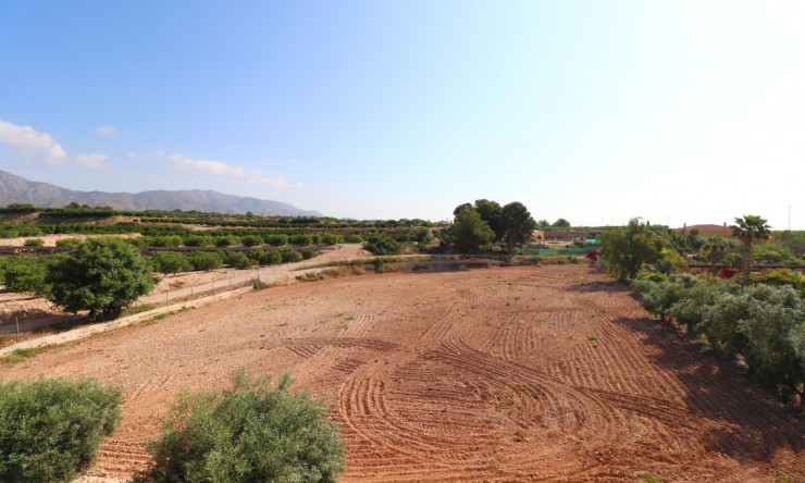 Re-Sale - Country Property - Albatera - Albatera - Country