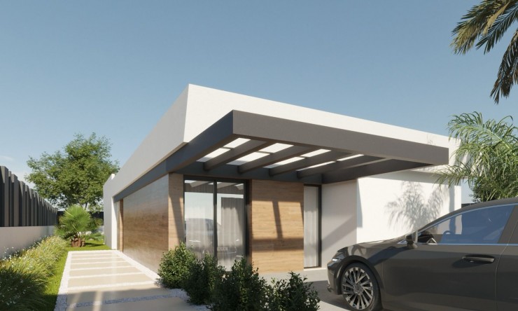 New - Detached Villa - Molina De Segura - Molina de Segura