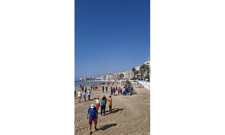 Re-Sale - Apartment - Torrevieja - Playa Los Locos