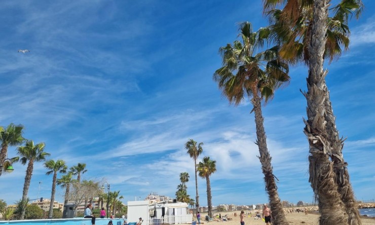 Videresalg - Leilighet - Torrevieja - Playa Los Naufragos