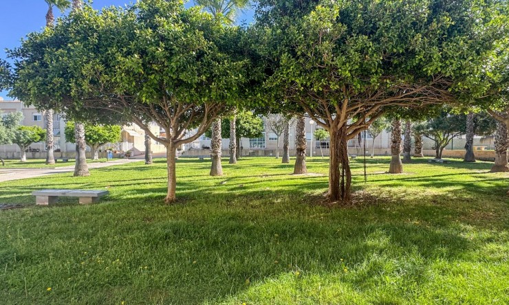 Wederverkoop - Duplex - Torrevieja - Aguas Nuevas