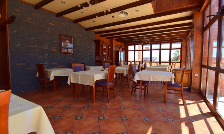 Commercial - Commercial (Freehold) - Orihuela Costa - Los Dolses