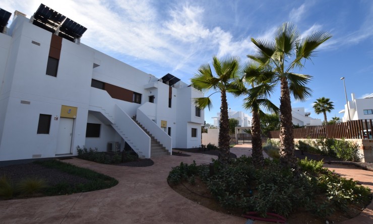 Re-Sale - Apartment - Los Montesinos - Entre Naranjos / Vistabella Golf