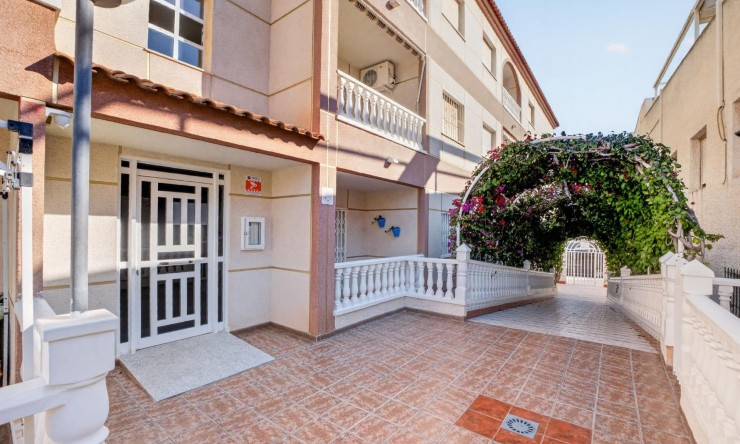 La Revente - Appartement - Torrevieja - Playa Los Locos