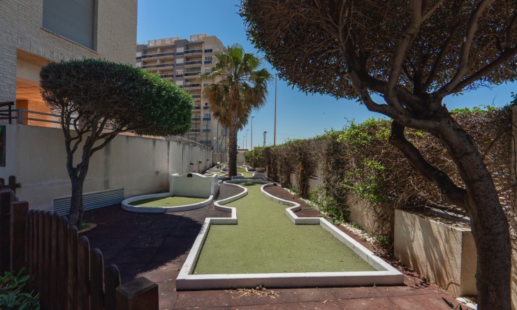 Wederverkoop - Appartement - Guardamar del Segura - Guardamar del Segura - Stad