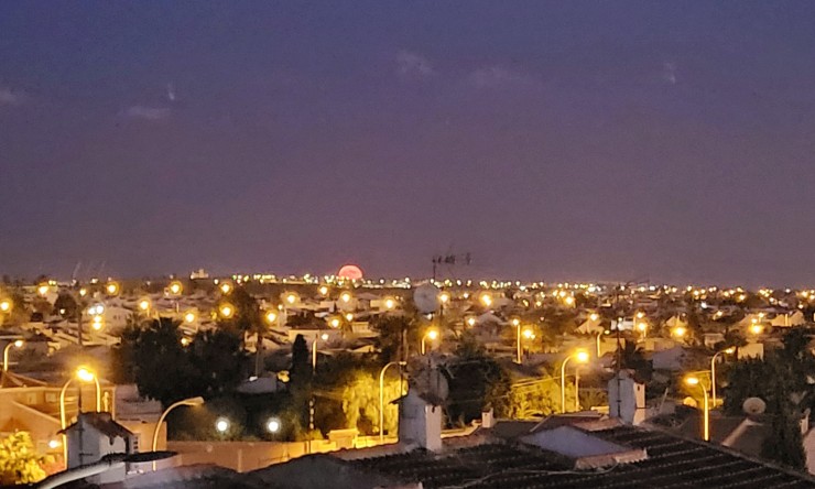 Reventa - Apartamento - Torrevieja - El Chaparral