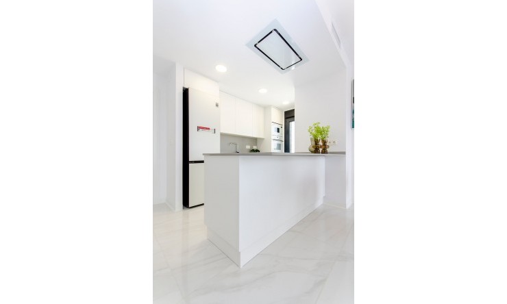 New - Semi Detached Villa - Los Montesinos - Entre Naranjos / Vistabella Golf