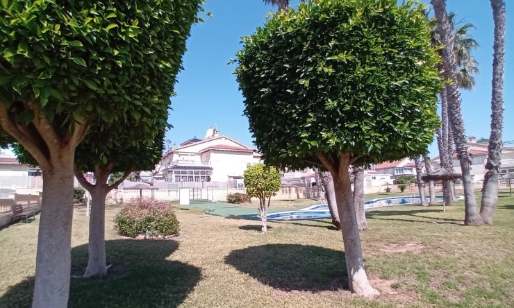 Reventa - Apartamento - Alicante
