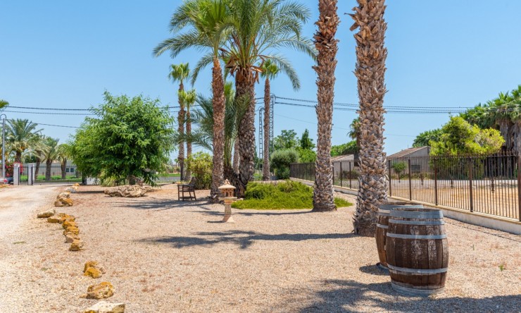 Reventa - Casa de Campo - Catral - Catral - Campo