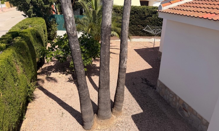 Re-Sale - Detached Villa - Ciudad Quesada - Ciudad Quesada - Town