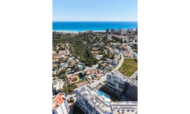 Nueva - Chalet - Orihuela Costa - Dehesa de Campoamor