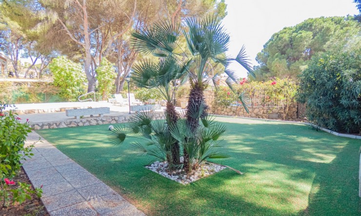Re-Sale - Detached Villa - Orihuela Costa - Dehesa de Campoamor
