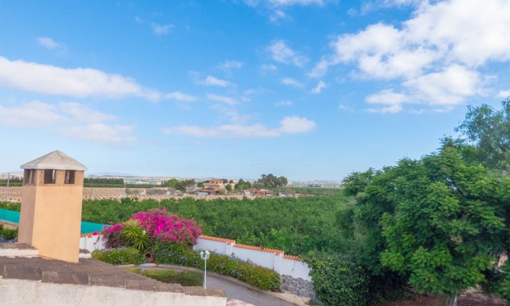 Videresalg - Land Eiendom - San Miguel de Salinas - San Miguel - Felt