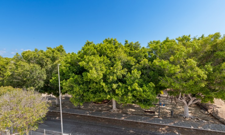 New - Detached Villa - Pilar de La Horadada - Pilar de La Horadada - Town