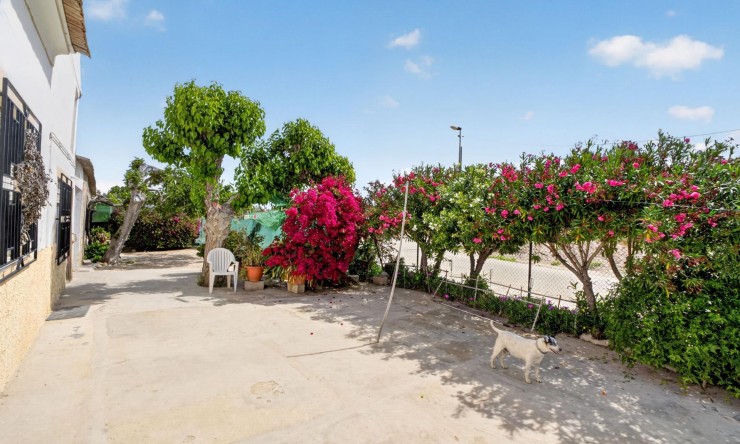 Wederverkoop - Landgoed - Orihuela - Los Desamparados