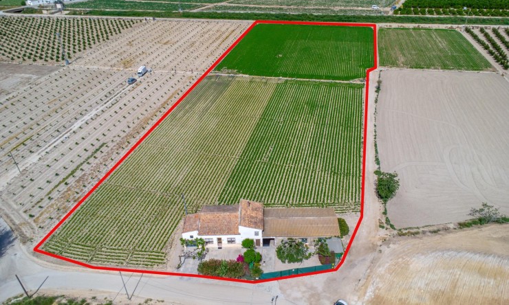 Wederverkoop - Landgoed - Orihuela - Los Desamparados