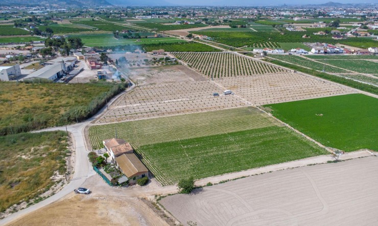 Wederverkoop - Landgoed - Orihuela - Los Desamparados