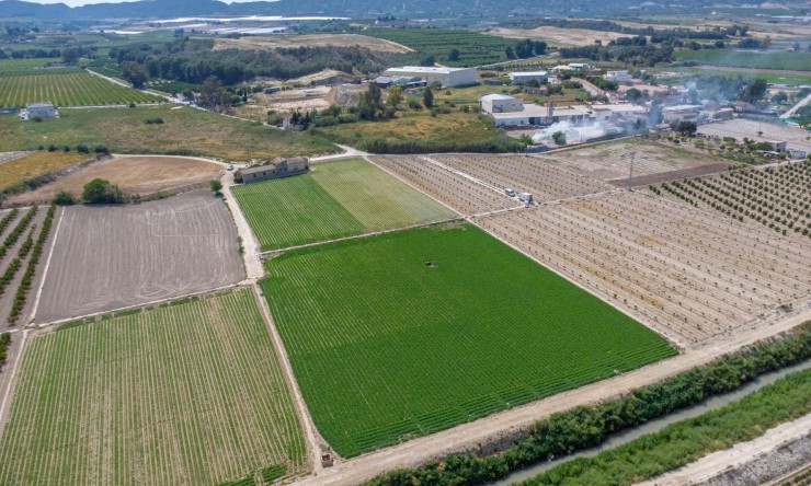 Wederverkoop - Landgoed - Orihuela - Los Desamparados
