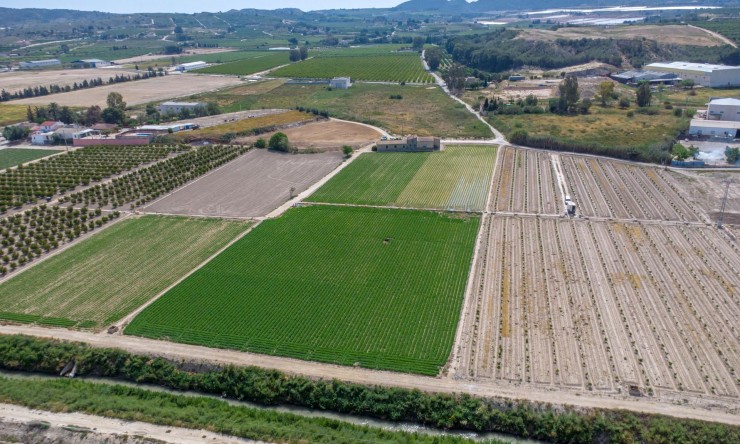 Wederverkoop - Landgoed - Orihuela - Los Desamparados