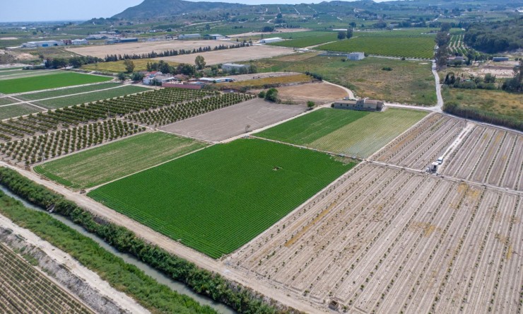 Wederverkoop - Landgoed - Orihuela - Los Desamparados