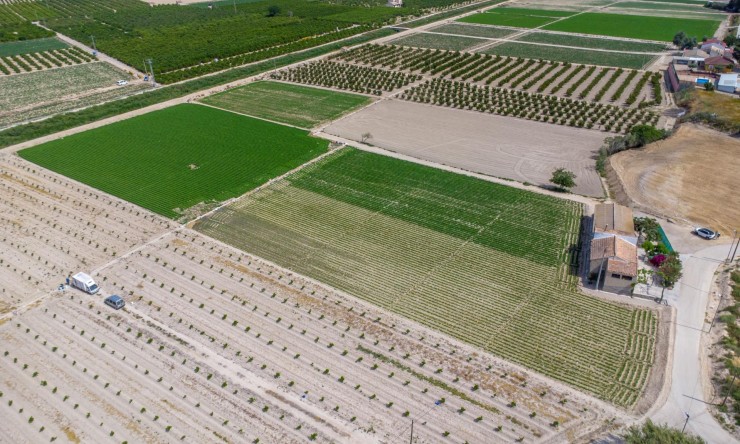 Wederverkoop - Landgoed - Orihuela - Los Desamparados