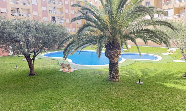 Re-Sale - Apartment - Torrevieja - Torrevieja - Centre
