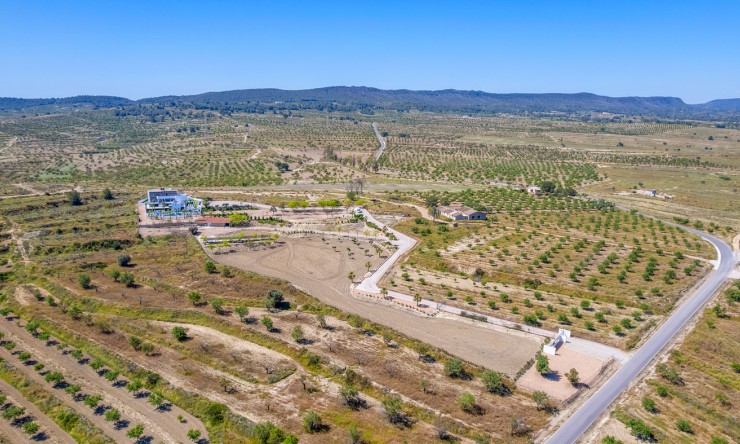 Re-Sale - Detached Villa - Torremendo - Torremendo - Country