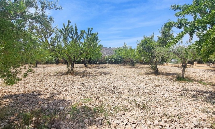 Re-Sale - Country Property - Hondon - Hondon de Las Nieves