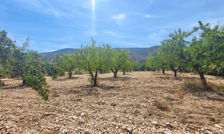 Re-Sale - Country Property - Hondon - Hondon de Las Nieves
