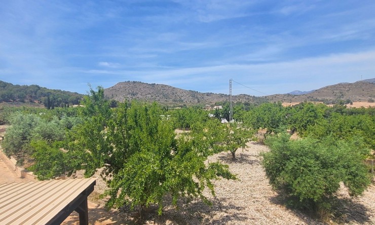 Re-Sale - Country Property - Hondon - Hondon de Las Nieves