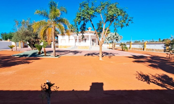 Reventa - Casa de Campo - Catral - Catral - Campo