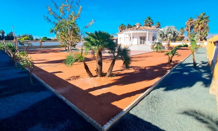 Nueva - Casa de Campo - Catral - Catral - Campo