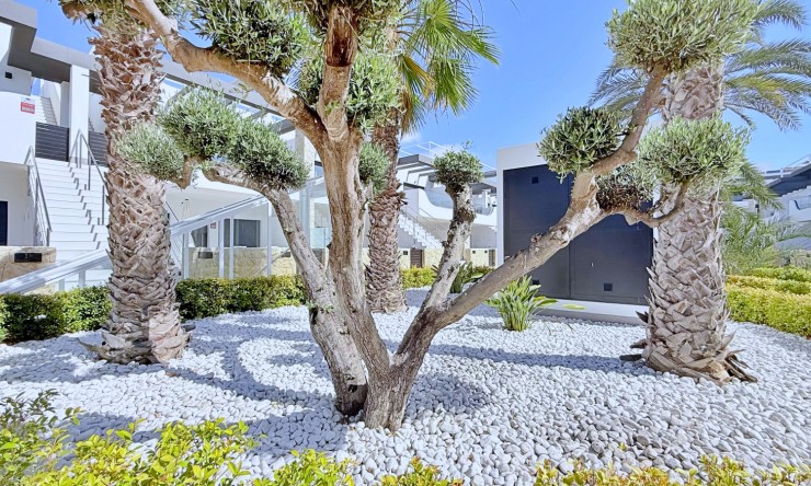Reventa - Apartamento - Orihuela Costa - Punta Prima