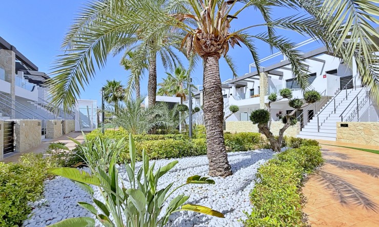 Reventa - Apartamento - Orihuela Costa - Punta Prima
