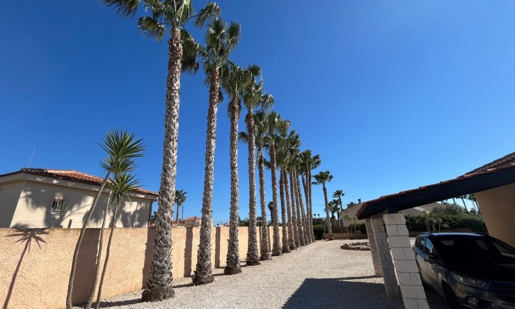Re-Sale - Country Property - Catral - Catral - Country