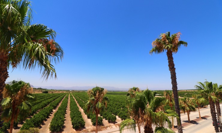 Re-Sale - Semi Detached Villa - Algorfa - La Finca Golf Resort