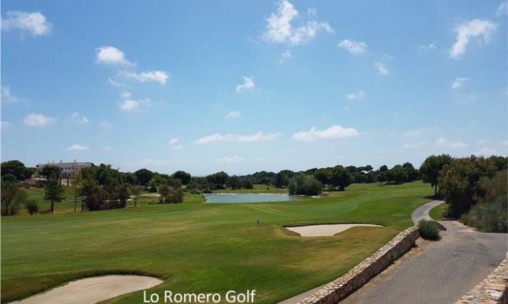 Re-Sale - Apartment - Pilar de La Horadada - Pilar de La Horadada - Town